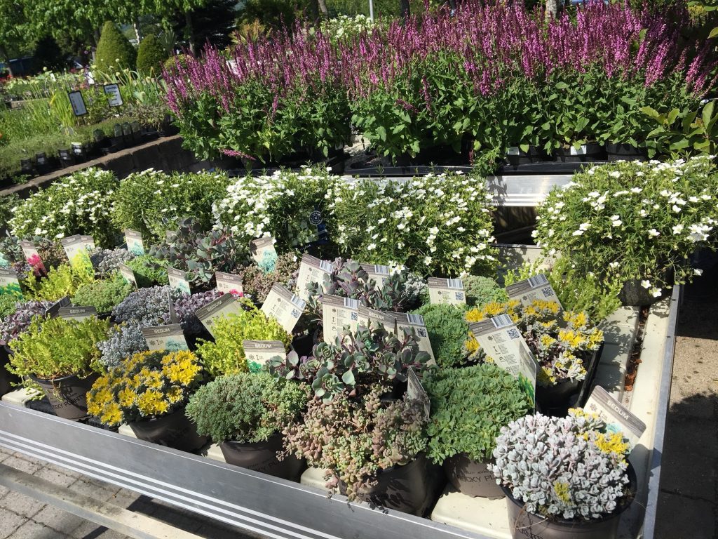 Planter til terrasse og hage
