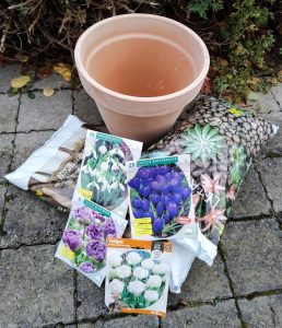 Lasagneplanting i potte