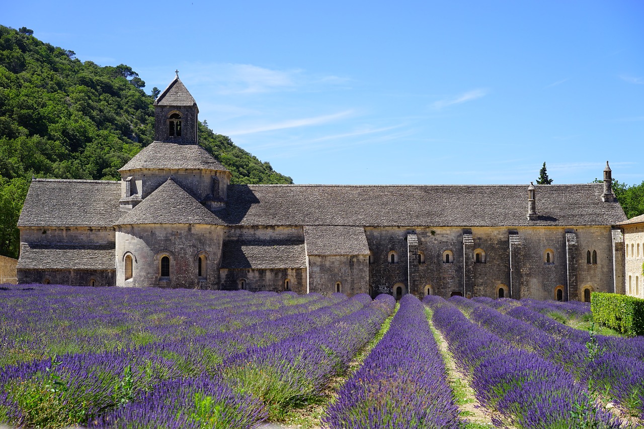Lavendel i Provence