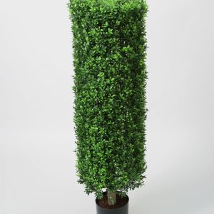 Boxwood cylinder 110