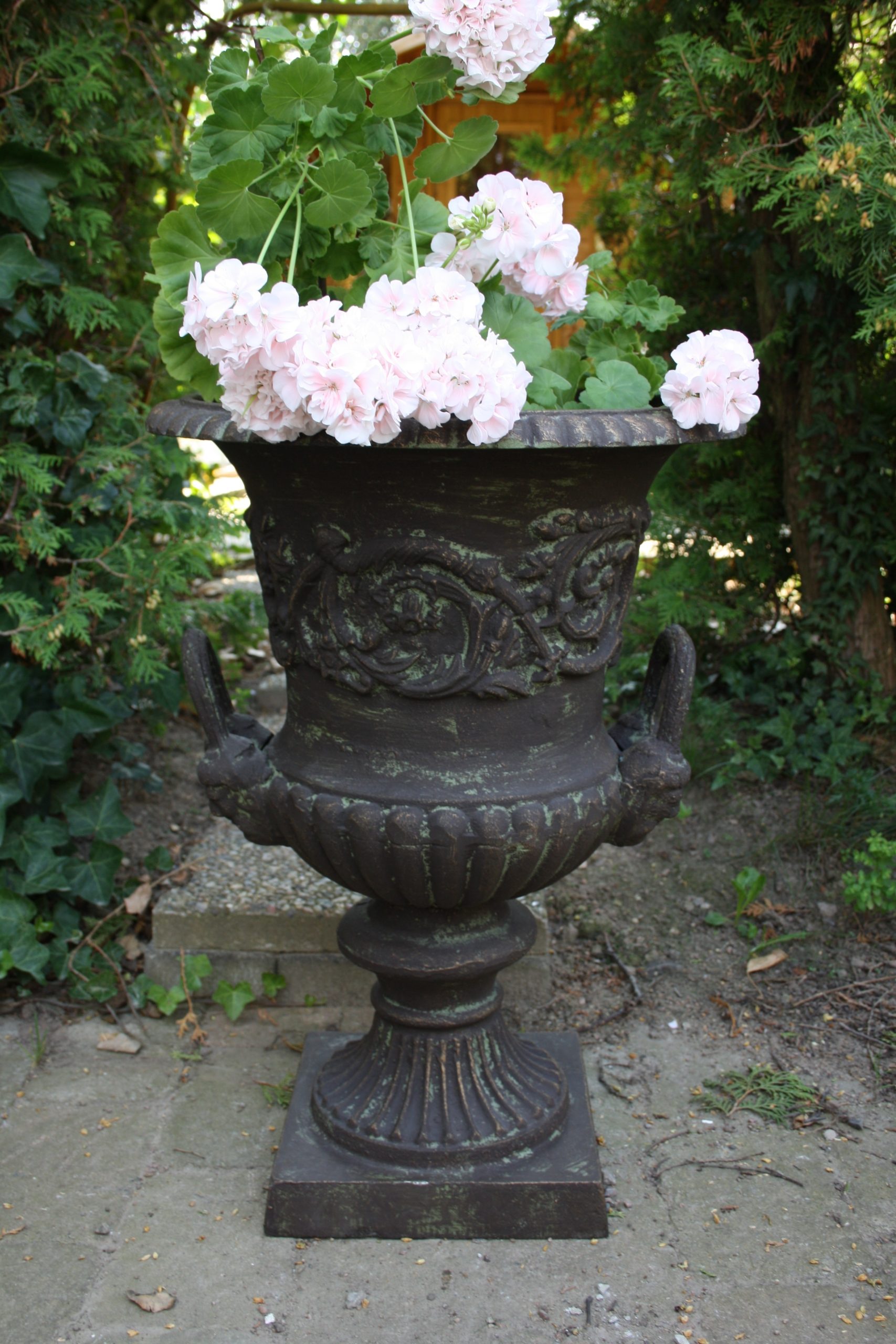 Category Image